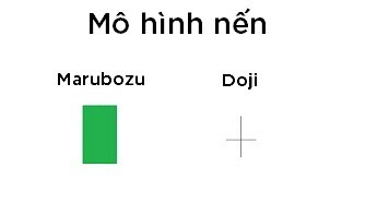 Marubozu-Doji