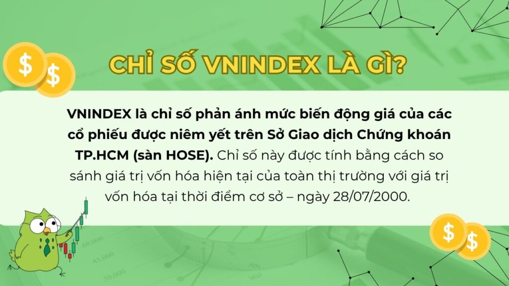 VN - Index là gì?