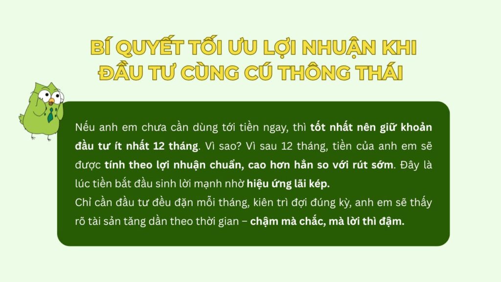 Bí quyết tối ưu lợi nhuận khi đầu tư cùng Cú
