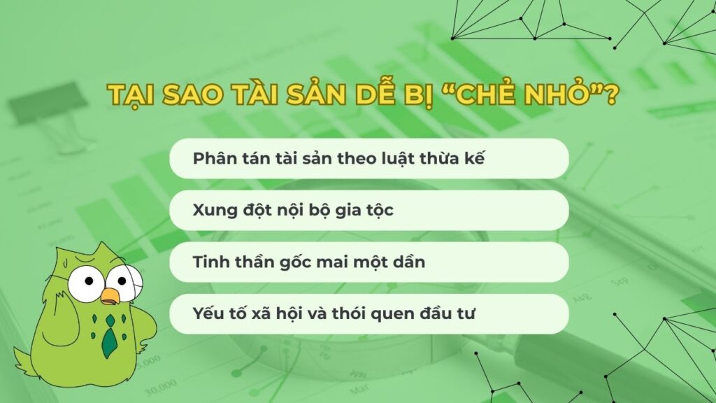 Tại sao tài sản dễ bị xẻ nhỏ