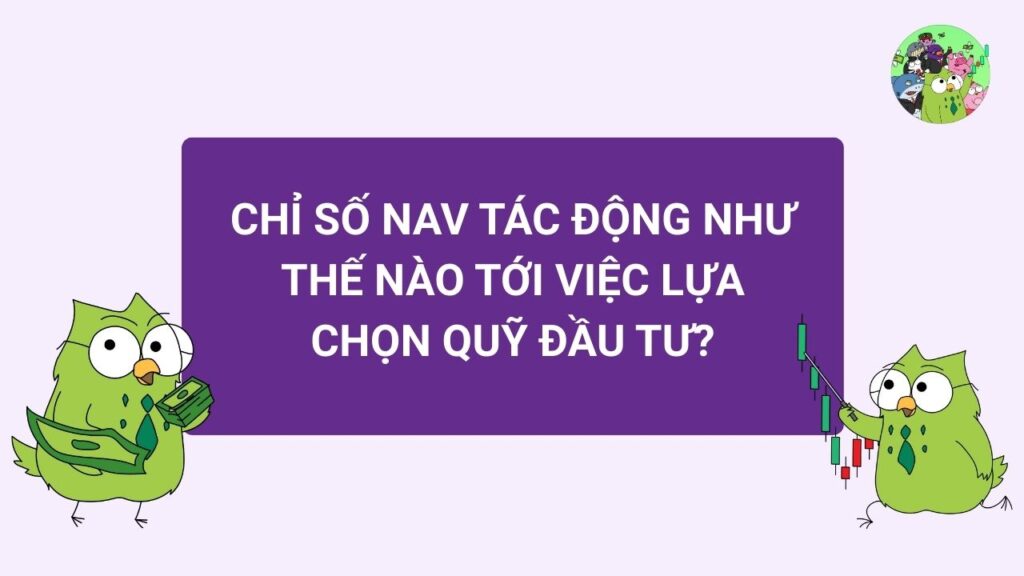 Chỉ số NAV tác động tới việc lựa chọn quỹ đầu tư