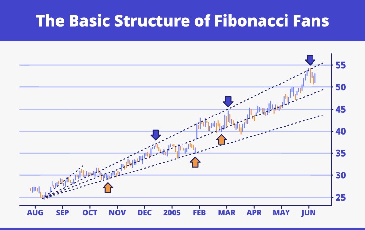 Fibonacci Fans