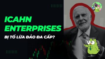Phân tích về cáo buộc “mô hình giống Ponzi"