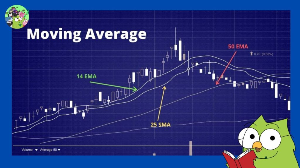 Đặc điểm của các đường MA