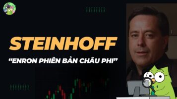 Các kỹ thuật gian lận tài chính của Steinhoff