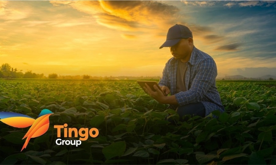 Giới thiệu về Tingo Group
