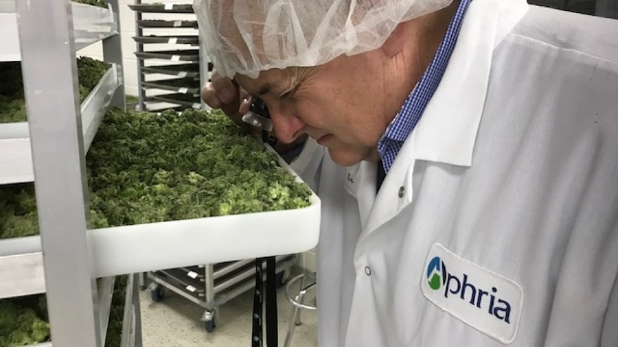 Aphria ghi nhận tốc độ tăng trưởng doanh thu ấn tượng