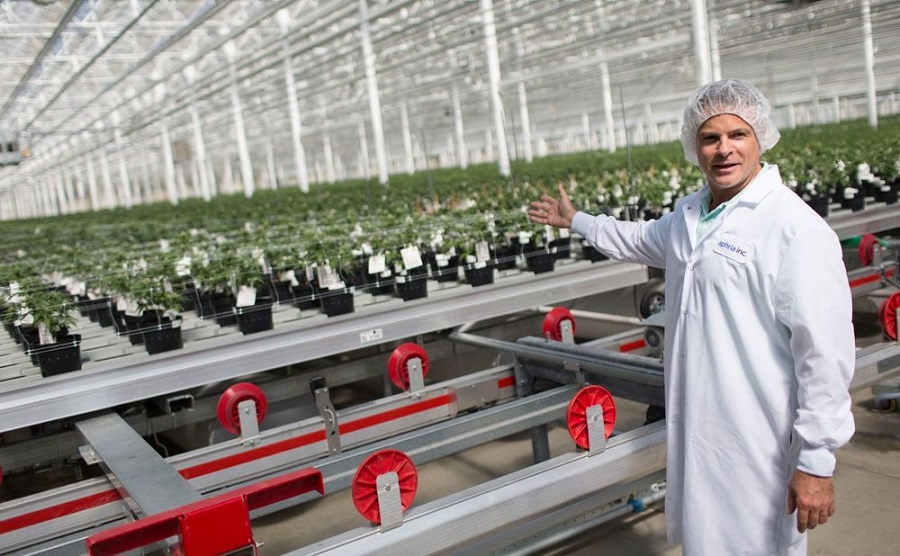 CEO của Aphria thao túng giá cổ phiếu