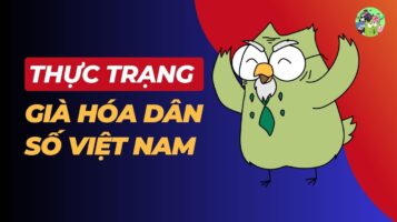 Thực Trạng Già Hóa Dân Số Việt Nam