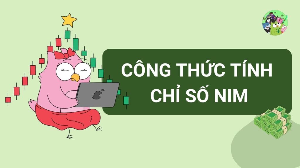 Công thức tính chỉ số NIM