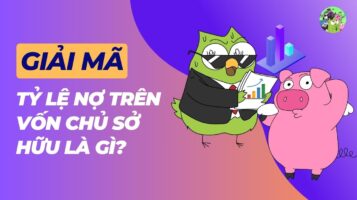 Tỷ lệ nợ trên vốn chủ sở hữu