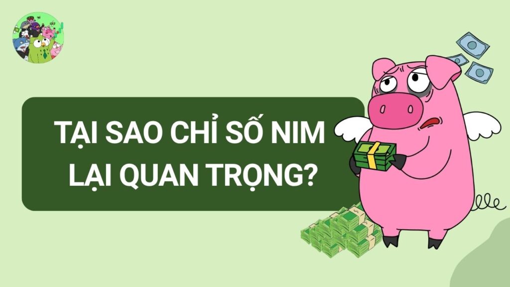 Tại sao NIM lại quan trọng?