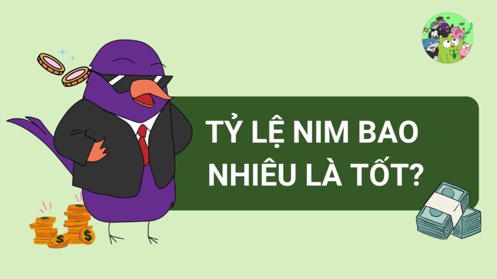 Tỷ lệ NIM bao nhiêu là tốt?