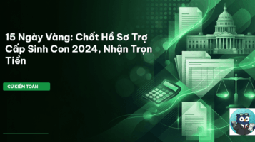 trợ cấp sinh con 2024