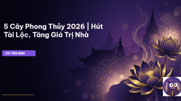 cây phong thủy