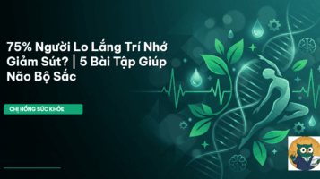 cải thiện trí nhớ