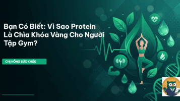 protein tập gym