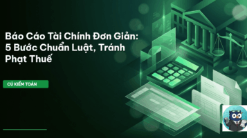 báo cáo tài chính đơn giản