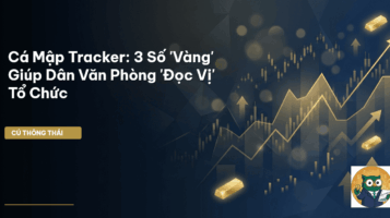 Cá Mập Tracker