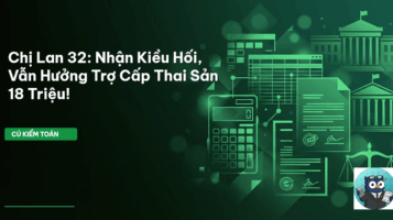 trợ cấp thai sản