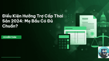 trợ cấp thai sản 2024