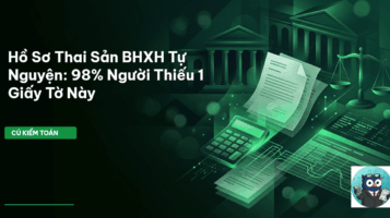 hồ sơ thai sản bhxh tự nguyện