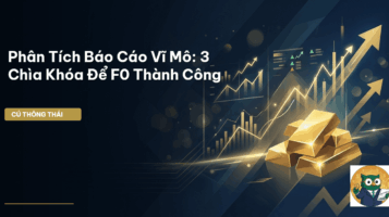 phân tích báo cáo vĩ mô