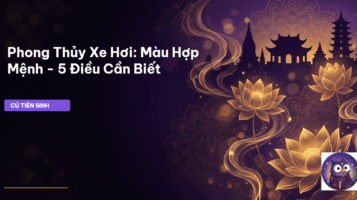 phong thủy xe hơi