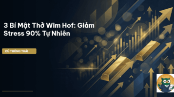 3 Bí Mật Thở Wim Hof: Giảm Stress 90% Tự Nhiên