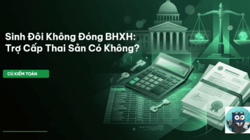 trợ cấp thai sản sinh đôi