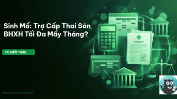 trợ cấp thai sản
