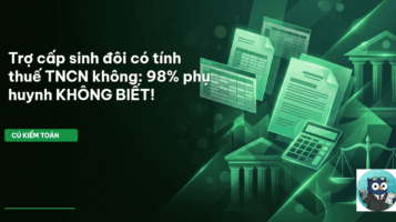 trợ cấp sinh đôi