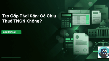 trợ cấp thai sản