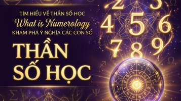 Thần Số Học Là Gì — Cách Tính Số Chủ Đạo