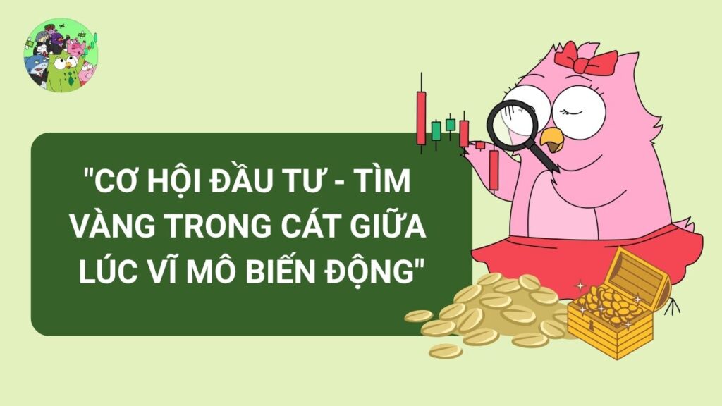 Cơ hội đầu  tư giữa lúc vĩ mô biến động