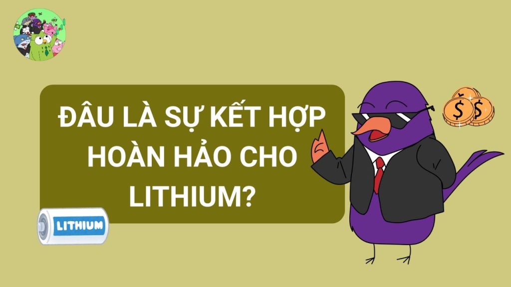 Đâu Là Sự Kết Hợp Hoàn Hảo Nhất Cho Lithium?