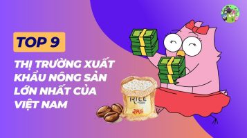 Top 9 thị trường xuất khẩu nông sản lớn nhất của Việt Nam - Xu hướng xuất khẩu nông sản tương lai