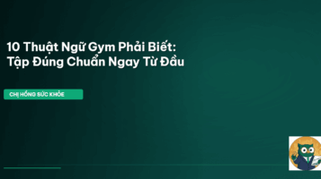 thuật ngữ gym