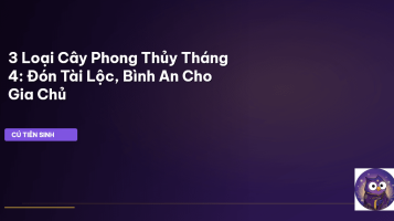 cây phong thủy tháng 4
