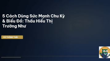 chu kỳ thị trường