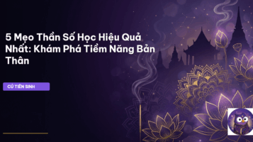 Thần Số Học cho người mới