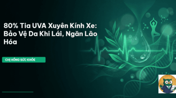 chống nắng lái xe