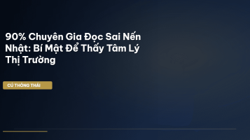 biểu đồ nến nhật
