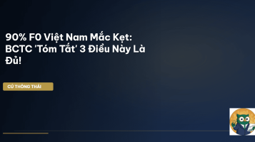 bctc tóm tắt