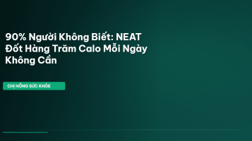 NEAT là gì