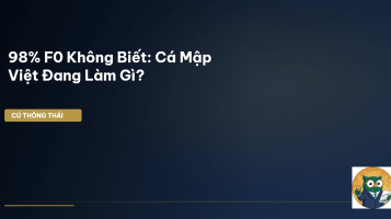 cá mập tracker