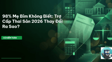 trợ cấp thai sản 2026