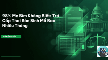 trợ cấp thai sản