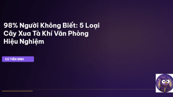 cây phong thủy văn phòng