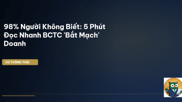 đọc nhanh BCTC